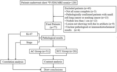 Application of diffusion kurtosis imaging and 18F-FDG PET in evaluating the subtype, stage and proliferation status of non-small cell lung cancer